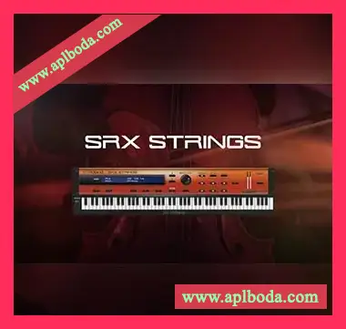[弦乐四重奏]Roland VS SRX STRINGS v1.0.1 [WiN]（215Mb）