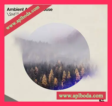 [氛围浩室素材]Sample Magic Ambient Analogue House [WAV, MiDi]（586Mb）