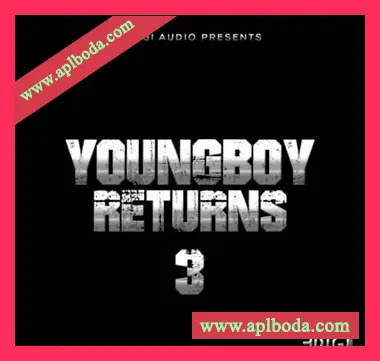 [嘻哈说唱采样]3 Digi Audio YungBoy Returns 3 [WAV]（38Mb）