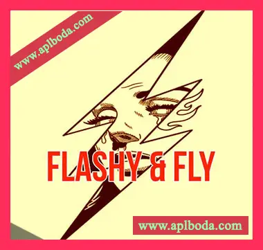 [灵魂嘻哈RnB采样]Smemo Sounds Flashy & Fly [WAV]（37Mb）