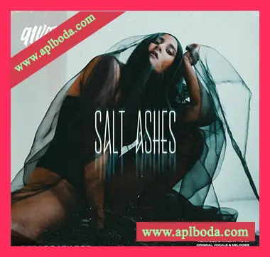 [POP流行人声采样]91Vocals Salt Ashes Fierce Dark Pop [WAV]（461Mb）