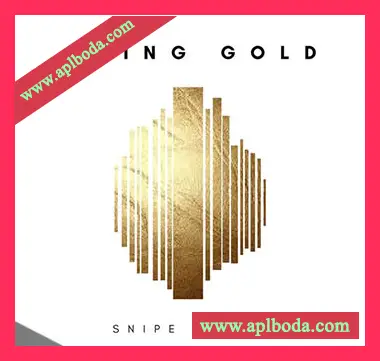 [嘻哈陷阱采样]Snipe Young Aging Gold [WAV]（60Mb）
