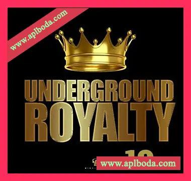 [灵魂RnB采样]Big Citi Loops Underground Royalty 10 [WAV]（148Mb）