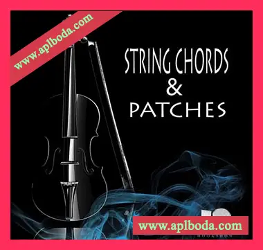 [灵魂RnB弦乐和弦采样]HOOKSHOW String Chords and Patches [WAV]（120Mb）