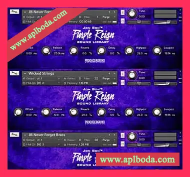 [嘻哈说唱Trap鼓音源]Producer Grind The Official Purple Reign [KONTAKT]（190Mb）
