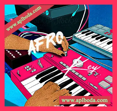 [灵魂RnB采样]Claro Beats Afro Key [WAV]（115Mb）