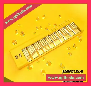 [嘻哈陷阱RnB素材Omnisphere预置]Canary Julz MIDI Collection (Volume 1) [WAV, MiDi]（2Mb）