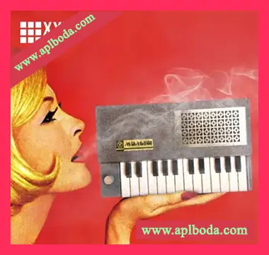 [低保真嘻哈BoomBap采样]Prime Loops BEAT GOODIES Lo-Fi Boom Bap [WAV]（246Mb）