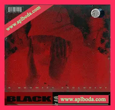 [嘻哈说唱采样]Dude Clayy Black Sunday Loop Kit [WAV]（374Mb）