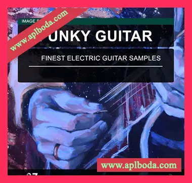 [流行放克吉他采样]Image Sounds Funky Guitar 07 [WAV]（12Mb）