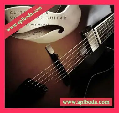 [爵士吉他音源]PastToFutureReverbs Guitar Licks Vol.2 Jazz Guitar For Kontakt! [KONTAKT]（144Mb）