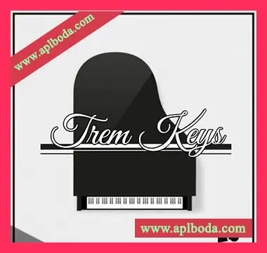 [RnB键盘采样]HOOKSHOW Trem Keys [WAV]（51Mb）
