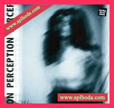 [怀旧乐采样FL预置]Mafio Perception Bundle Sample Pack + One Shot Kit + Mixing Chains（368Mb）