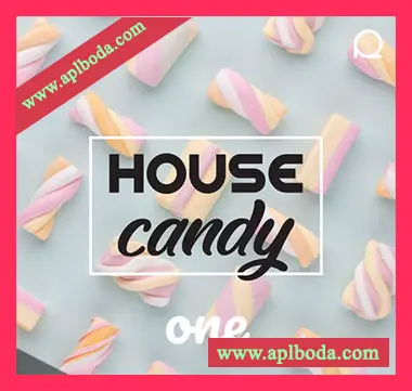 [浩室素材Serum预置]Roundel Sounds House Candy One [WAV, MiDi]（328Mb）