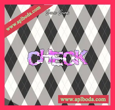 [灵魂嘻哈RnB采样]Smemo Sounds CHECK [WAV]（67Mb）