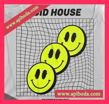 [科技浩室素材]Banger Samples Acid House [WAV, REX, MiDi]（285Mb）