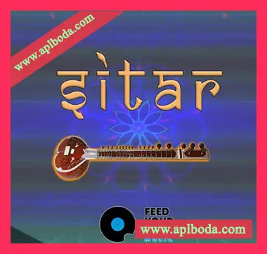 [Sitar西塔尔琴采样]Feed Your Soul Music Sitar [WAV]（398Mb）