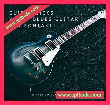 [布鲁斯吉他音源]PastToFutureReverbs Guitar Licks Vol.1 Blues Guitar [KONTAKT]（220Mb）