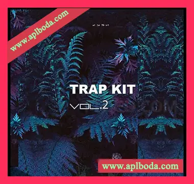 [Trap陷阱采样]CYGN Trap Kit Vol.2 [WAV]（30Mb）