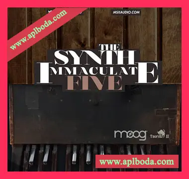 [HipHop嘻哈说唱采样]MSXII Sound The Synth Immaculate 5 [WAV]（311Mb）