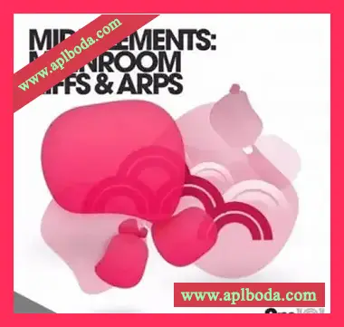 [前卫科技浩室MiDi素材]Sample Magic SM101 MIDI Elements Mainroom Riffs And Arps [MiDi]（4.2Mb）