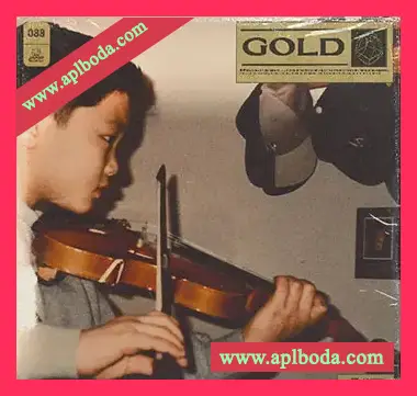 [灵魂拉丁采样]UNKWN Sounds Gold (Compositions) [WAV]（126Mb）