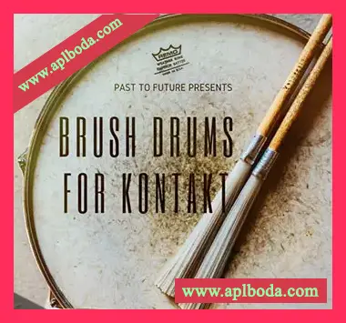 [画笔制作鼓音色库音源]PastToFutureReverbs Brush Drums [KONTAKT]（152Mb）