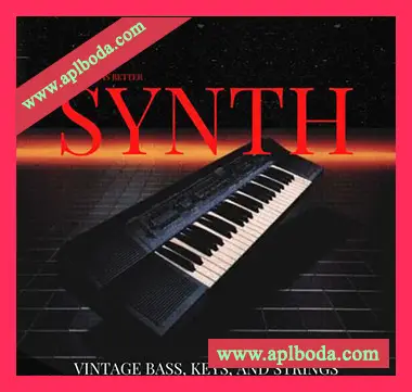 [怀旧合成器采样]Lazerdisk Vintage Synth [WAV]（77Mb）