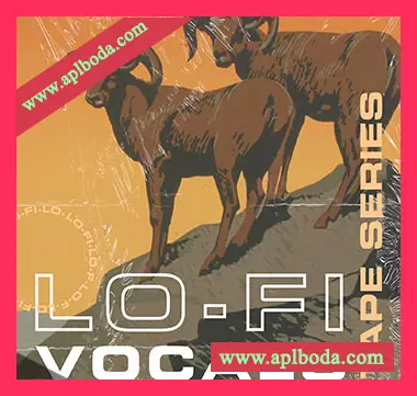 [低保真嘻哈RnB人声采样]Lazerdisk Tape Series Lo-Fi Vocals [WAV]（26Mb）