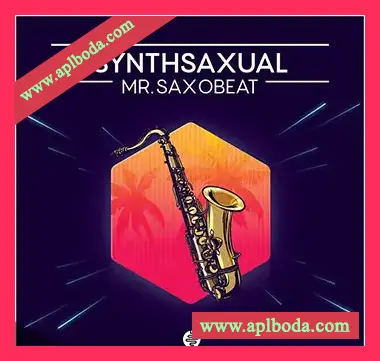 [合成波怀旧乐萨克斯管采样]OST Audio Synthsaxual [WAV]（296Mb）