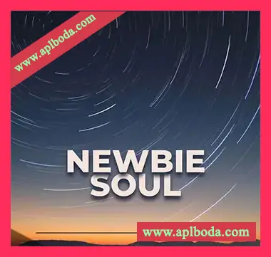 [嘻哈放克RnB采样]Undisputed Music Newbie Soul [WAV]（76Mb）