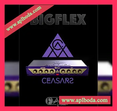 [均衡频率饱和失真器插件]F-AudioLabs BigFlex v1.2.1 [WiN]（12Mb）