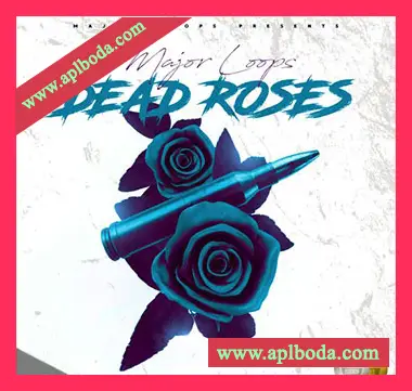 [Trap陷阱采样]Dynasty Loops Dead Roses [WAV]（23Mb）