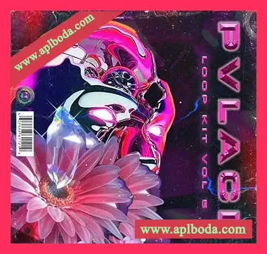 [嘻哈RnB采样]PVLACE Loop Kit Vol.5 [WAV]（141Mb）