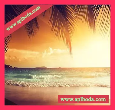 [Tropical House休闲舞曲采样]Tony Warrior Tropical Cheers [WAV]（11Mb）