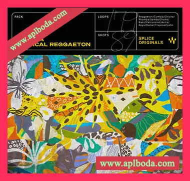 [拉丁雷鬼前卫舞曲采样FL预置Astra预置]Splice Originals El Paisa Tropical Reggaeton（635Mb）