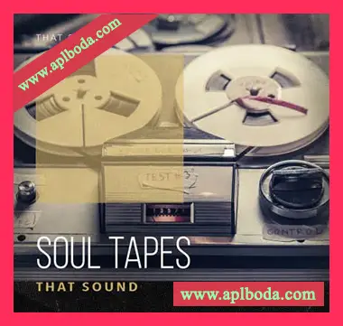 [灵魂RnB采样]That Sound Soul Tapes [WAV]（736Mb）
