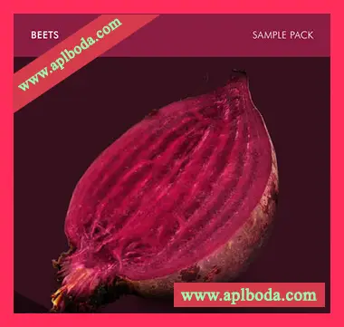 [电子乐采样]Andrew Huang Beets Sample Pack [WAV]（3Mb）