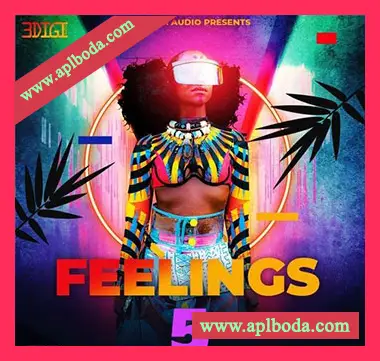 [RnB采样]Innovative Samples Feelings RnB Vol 5 [WAV]（52Mb）