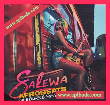 [非洲节奏采样]Daneemoe Salewa Afrobeats Guitars and Rhythms [WAV]（65.42Mb）