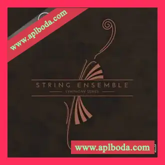 [弦乐合奏] NI Symphony Series String Ensemble KONTAKT （31.76Gb）