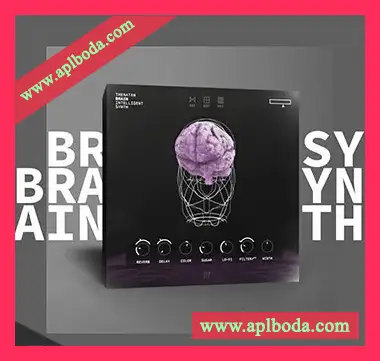 [智能合成器插件]Thenatan Brain Intelligent Synth v1.1.0 [WiN, MacOSX]（358Mb）