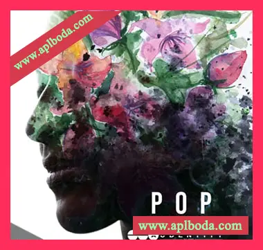 [POP流行采样]Audentity Records Pop Masterpieces [WAV]（528Mb）