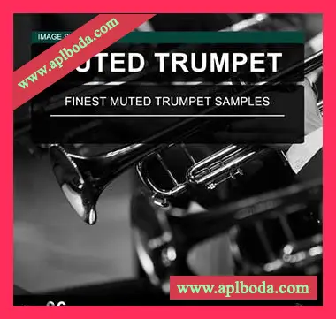 [闷音小号采样]Image Sounds Muted Trumpet 06 [WAV]（18Mb）