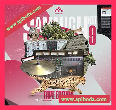 [嘻哈说唱采样]MSXII Sound Design Sammich Kit Vol.9 (Tape Edition) [WAV]（9Mb）