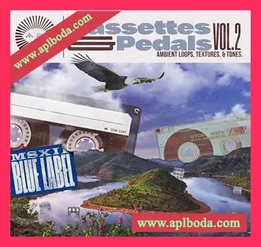 [氛围驰放采样]MSXII Sound Design Cassettes and Pedals Vol.2 [WAV]（393Mb）