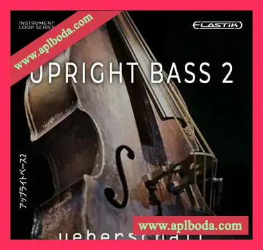 [Elastik音色立式贝斯]Ueberschall Upright Bass 2（589Mb）