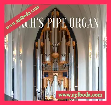 [管风琴音源]PastToFutureReverbs Bach’s Pipe Organ [KONTAKT]（84Mb）