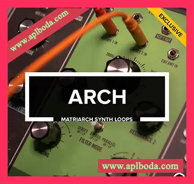 [泰克诺舞曲素材]Audiotent Arch [WAV, MiDi]（400Mb）