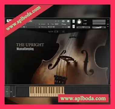 [拨弦连奏立式贝斯音源]Musical Sampling The Upright [KONTAKT]（641Mb）